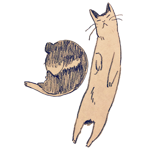 宮脇千鶴（イラスト）