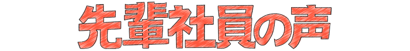 先輩社員の声